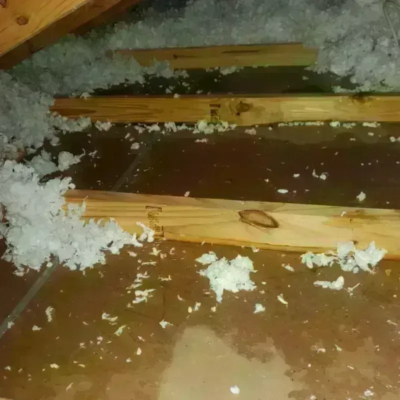 Attic Water Damage in Jackson County, KY