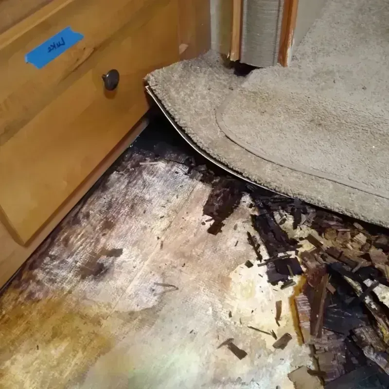 Wood Floor Water Damage in Jackson County, KY